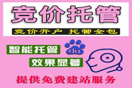 百度推广返点策略：案例解析与优化